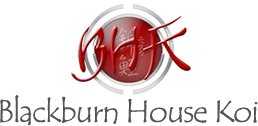Blackburn House Koi Logo
