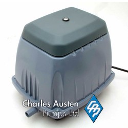 Charles Austen ETX80