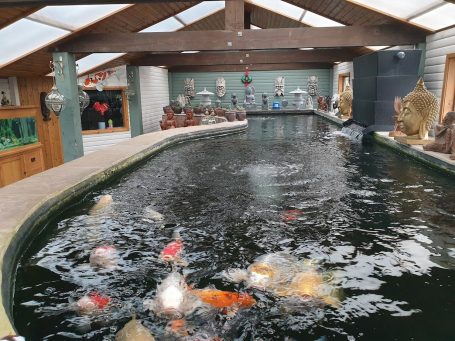 BHKOI MAIN POND